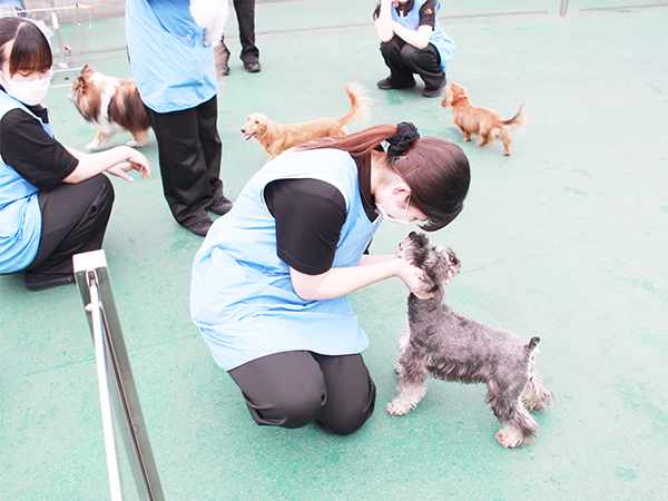 生徒とモデル犬が大好きなドッグラン♪